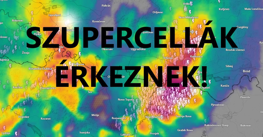 Cikk fotója