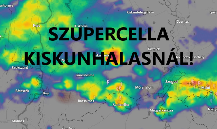 Cikk fotója